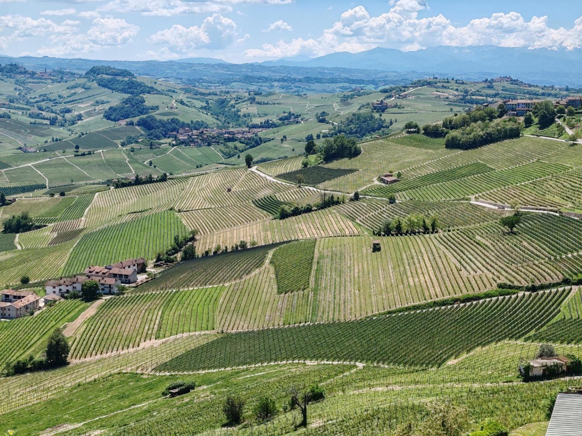 Tour In Langhe Apartman La Morra Kültér fotó
